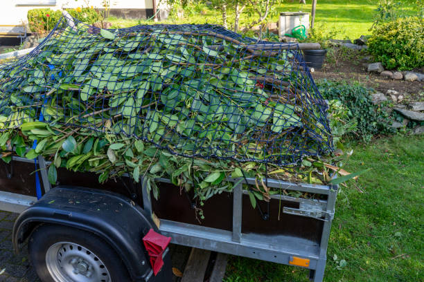 Best Same-Day Junk Removal Services  in Troy, IL